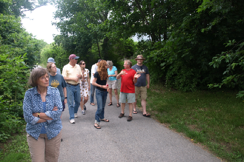 New Project - 2025-03-20T052542.677