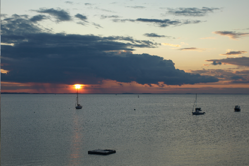 New Project - 2025-03-20T052931.595