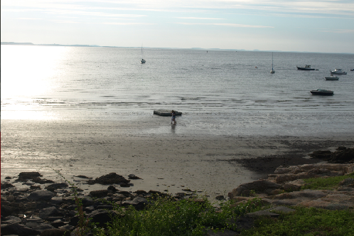 New Project - 2025-03-20T053055.276